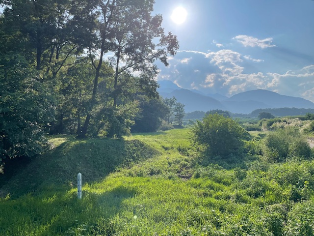 新府城　東出構